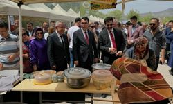 Gülşehir'de Bu Festival İlk Kez Düzenlenecek!