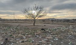 Görüntüler Nevşehir'den! Bunlar insan OLAMAZ..!