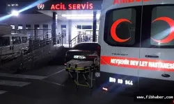 Nevşehir'de dehşet! Ağabeyini odunla kafasına vurarak öldürdü