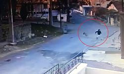 Ürgüp'te bisikletli çocuğu başıboş köpek kovaladı