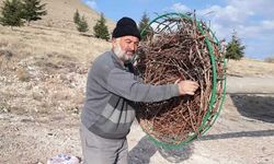 Nevşehir'de leylekler artık öksüz kaldı