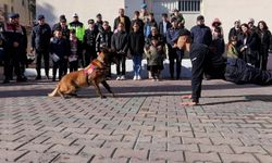 Nevşehir'de Jandarma Köpeği Miniklere Gösteri Yaptı