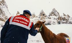 Turizmin kalbi Kapadokya'da, güvenin adı: JANDARMA!