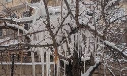 Nevşehir'de ağaç dalları buz tuttu !