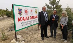 Avanos Adalet Ormanı'nda 200 fidan toprakla buluşturuldu