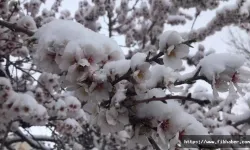 Meteoroloji'den Nevşehir'e soğuk hava ve zirai don uyarısı!