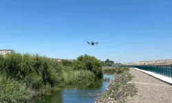 Gülşehir Kızılırmak nehrinde bataklık alanlar dronla ilaçlanıyor!