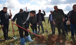 Kozaklı'da Şehit Hakan Demirci Hatıra Ormanı Fidanlarla Buluştu