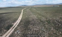 Tarihi İpek Yolu Nevşehir Kozaklı'dan geçiyor
