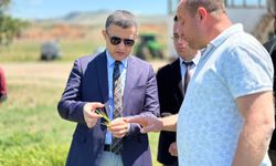 Kaymakam Bilici'den Avanos Tarım Arazilerine İnceleme