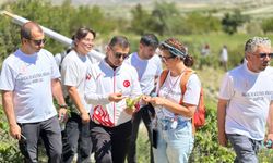 Üniversiteliler Kapadokya'nın güzelliklerini keşfederken çevre temizliği yaptı