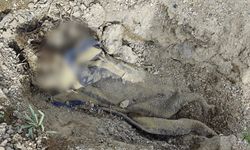 Nevşehir'de tüyler ürperten olay! Toprağa gömülü ceset bulundu