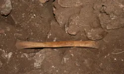 Kozaklı'da ki mağarada kemik kalıntıları bulundu