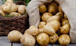 Patates Siğil Desteği Askı Listesi Yayınlandı