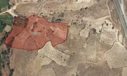 Nevşehir Sulusaray'da 19 bin metrekare bağ satılacak