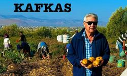 'Kafkas çeşidi patates ile Nevşehir'de karantinaya son'