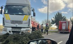 Nevşehir'de kontrolden çıkan tır refüjdeki ağaçlara çarparak durabildi