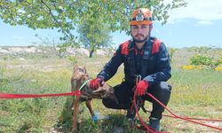Uçhisar Güvercinlik Vadisinde mahsur kalan köpek kurtarıldı