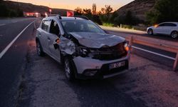 Nevşehir'de otomobilin çarptığı eşek telef oldu