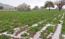 Nevşehir'de dolu tarım arazilerini vurdu