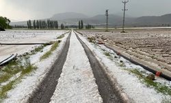 Nevşehir'de sel ve dolu tarım arazilerini vurdu