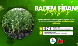 Nevşehir Belediyesi ücretsiz badem fidanı dağıtacak