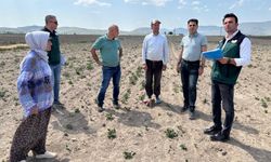 Nevşehir'de arazi toplulaştırması saha incelemesi