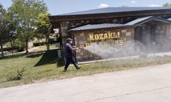 Kozaklı'da park ve bahçeler keneye karşı ilaçlanıyor