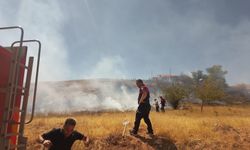 Kozaklı'da Yangın Evlere Sıçramadan Söndürüldü