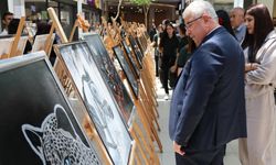 Nevşehir’de Karma Resim Sergisi Açıldı