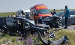 Kozaklı'da İki Otomobil Çarpıştı: 2 Kişi Yaralandı