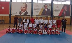 Kickboks Türkiye Şampiyonasında Nevşehir'i temsil edecekler