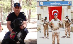 Nevşehir'de zehir tacirlerini nasıl ihbar edebilirim?