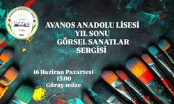 Avanos Anadolu Lisesi Yıl Sonu Görsel Sanatlar Sergisi