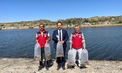 Nevşehir Tatlarin Barajı'na 15 bin yavru sazan bırakıldı