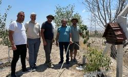Avanos Köybağı’nda Su Sorununa Kalıcı Çözüm
