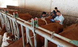 Nevşehir’de “Hastalıktan Ari İşletme” Hamlesi!