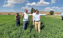 Avanos Kaymakamı Bilici’den Alibeyyeri Arazilerinde İnceleme