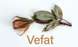 Göre eşrafından Fatma Ceylan vefat etti