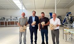 Topaç Köyünde Sarımsak Hasadı Başladı