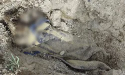 Nevşehir'de gömülü halde bulunmuştu: Zanlılar İstanbul'da yakalandı