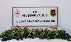 Nevşehir'in Kavak Beldesi’nde Skunk Operasyonu