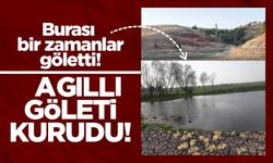 Nevşehir'de kuraklığın acı yüzü: Ağıllı Göleti kurudu