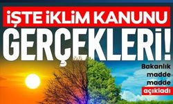 İşte 9 soruda İklim Kanunu Gerçekleri