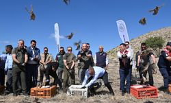 Nevşehir’de kene avcısı 600 keklik doğaya bırakıldı