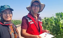 Nevşehir’de Üzüm Bağları ve Seralarda Entegre Mücadele Çalışmaları Sürüyor