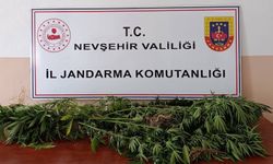 Nevşehir Jandarmasından Ortahisar’da Zehir Tacirlerine Darbe