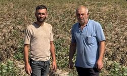 Nevşehir'de Patates Üreticileri Büyük Eyleme Hazırlanıyor