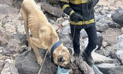 Nevşehir'de 3 gün mahsur kalan köpek kurtarıldı
