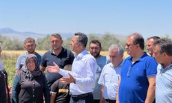 CHP Heyeti Derinkuyu’da Patates Üreticileriyle Buluştu